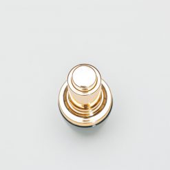 บรรจุภัณฑ์เครื่องสำอาง ขวดลังโคม หัวปั๊ม 20 ml เขียวทึบฝาโกล