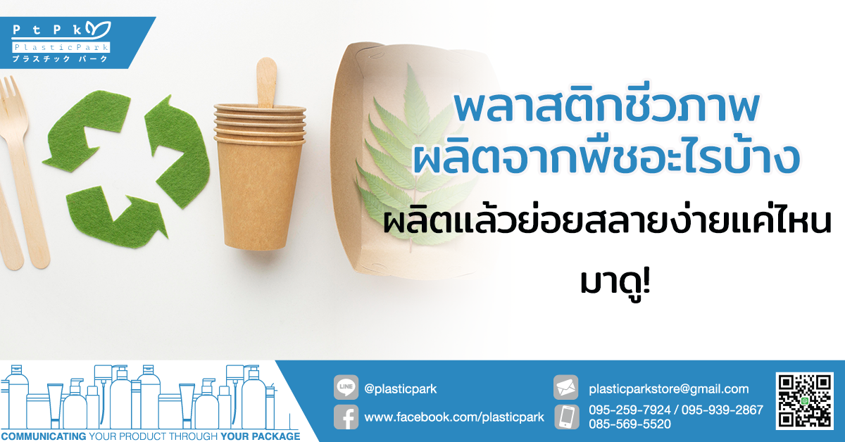 พลาสติกชีวภาพผลิตจากพืชอะไรบ้าง ผลิตแล้วย่อยสลายง่ายแค่ไหน มาดู!